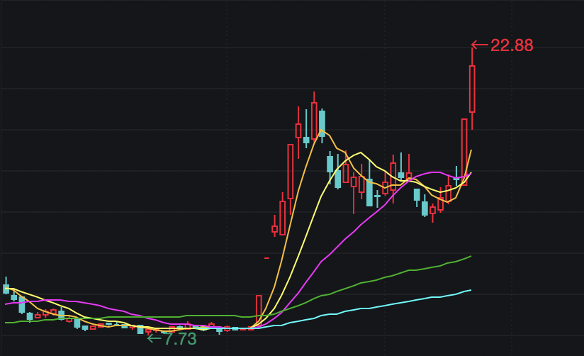 澳门一肖一码一特一中，探索背后的文化与影响