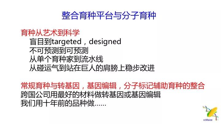 新澳精准资料免费提供最新版，助力学术研究与行业发展的知识盛宴