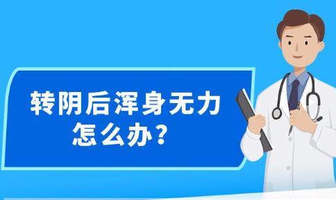 免费新澳精准资料网站，解锁知识海洋的钥匙