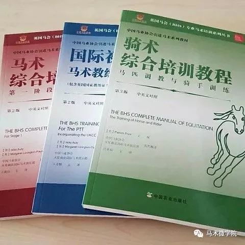 探索马术运动，从13262cc马会传真到论坨视频的探索之旅，马术运动探索之旅，从马会传真到论坨视频的探索