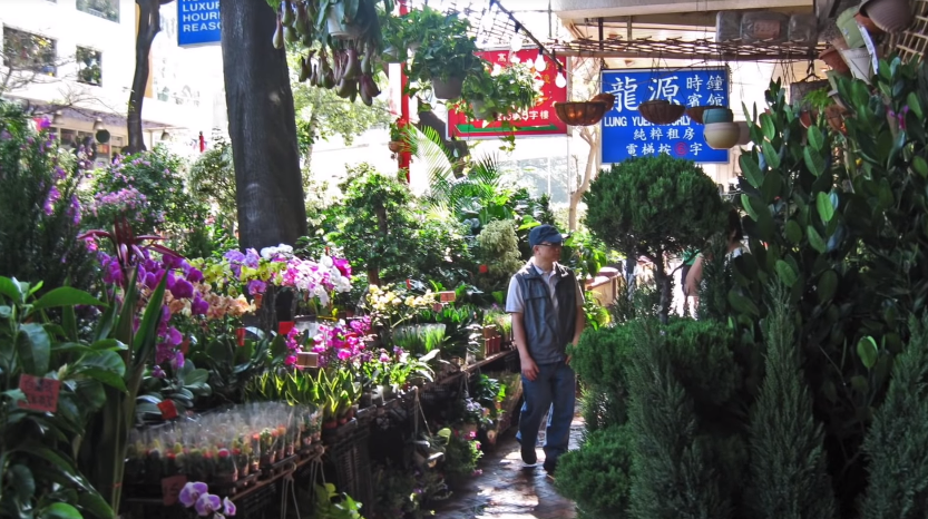 香港资料库最新消息今天最新动态，香港资料库最新动态消息发布