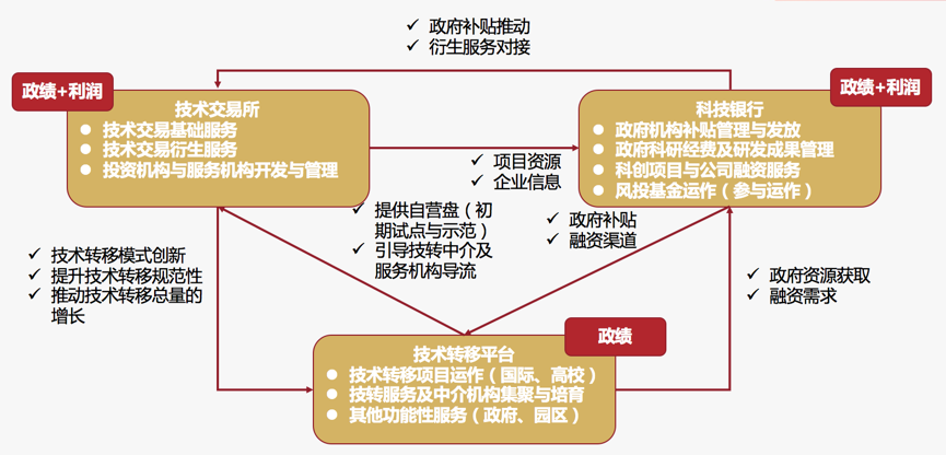 精准三肖三期内的内容优势及其例子，精准三肖三期内的内容优势与实例解析