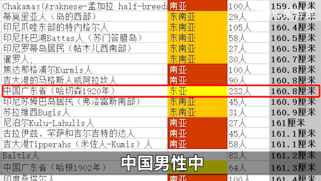 一码一肖，揭秘正版资料的精准世界，揭秘正版资料精准世界，一码一肖的秘密