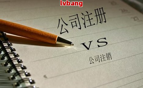 香港资料下载指南，从哪里获取最全面的信息？，香港资料下载指南，全面信息获取途径解析