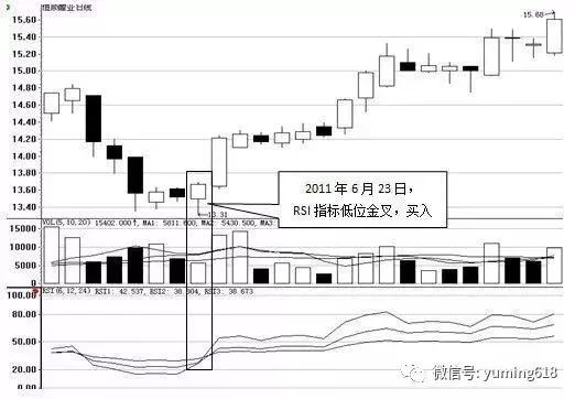 掌握每日主力指标，全面解析5334cc资料大全，掌握主力指标，全面解析5334cc资料汇总