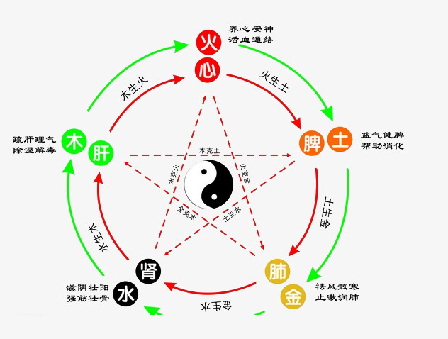 香港资料大全 2023正版资料之金木水火土详解，香港资料大全，金木水火土详解 2023正版最新资讯