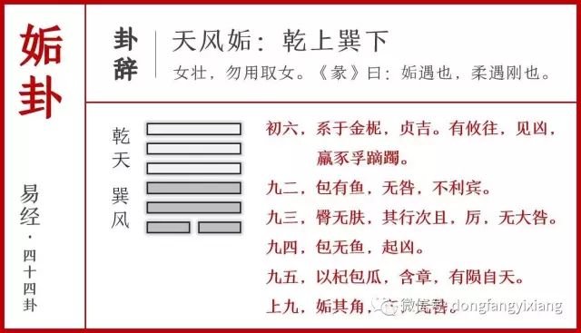 二四六玄机图资料大全与今日行情深度解析，二四六玄机图资料大全与今日行情全面深度解析