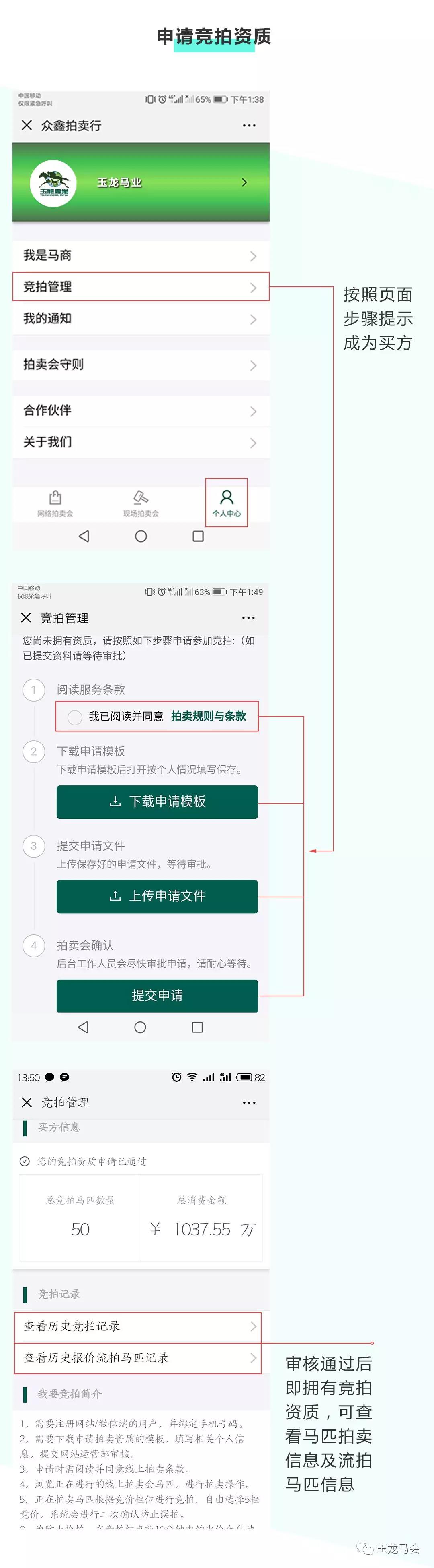 买马最准的资料2019，揭秘选马秘诀与策略，揭秘选马秘诀与策略，买马最准的资料2019年精选版