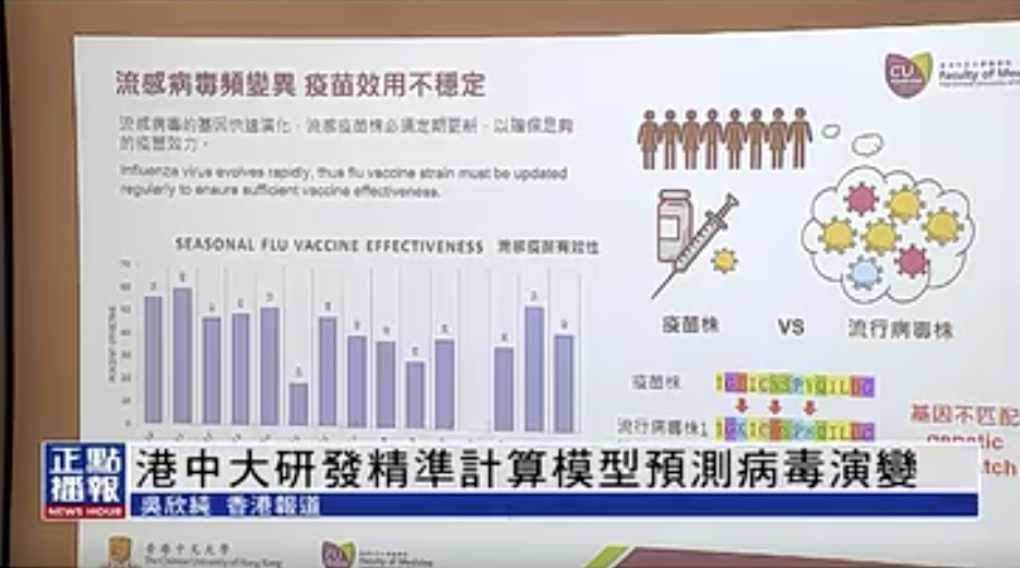 2023年香港资料精准情况分析，2023年香港最新资料精准分析概览