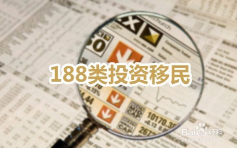 香港2023精准资料大全概览，香港2023精准资料大全全览