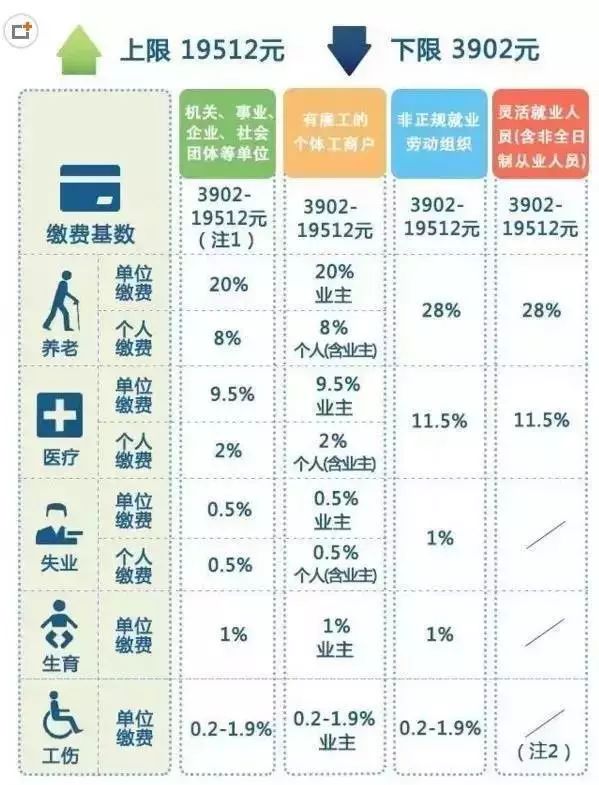 探索二四六玄机图，最新308版本资料解析，揭秘二四六玄机图，最新308版本资料深度解析