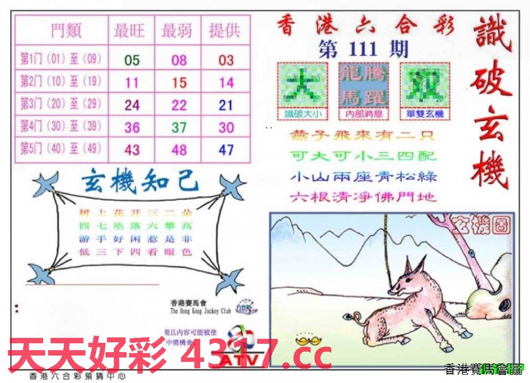 探索二四六天天玄机图资料，手机版的简单图片资料解析，二四六天天玄机图解析及手机版简易资料探索