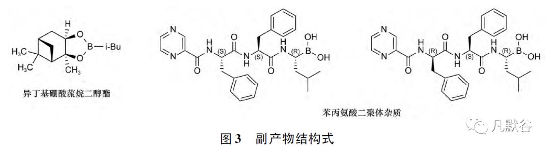 精准预测三肖三期内的内容，深度分析与实例解析，精准预测三肖三期内容，深度分析与实例解析揭秘