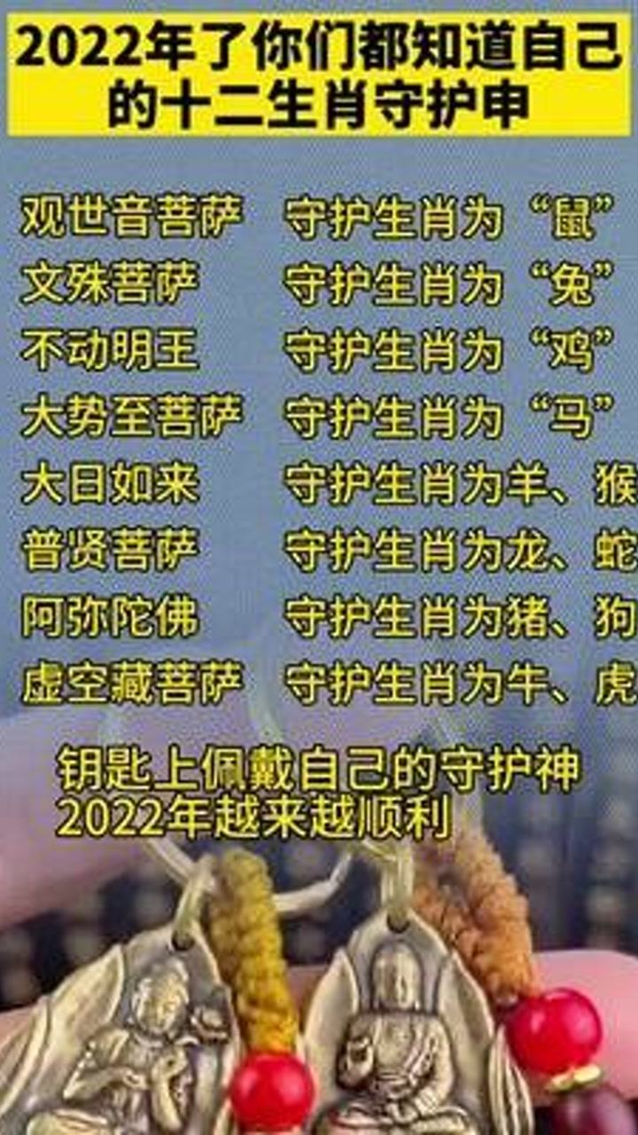 香港资料大全与正版资料，十二生肖文化之深度解析——2025年十二生肖汇总展望，香港资料大全与正版资料深度解析，十二生肖文化展望与汇总报告（2025年）