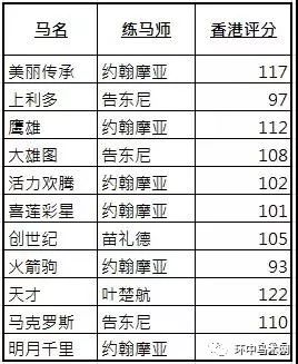 香港资料审核部的部门级别解析，香港资料审核部门的部门级别详解