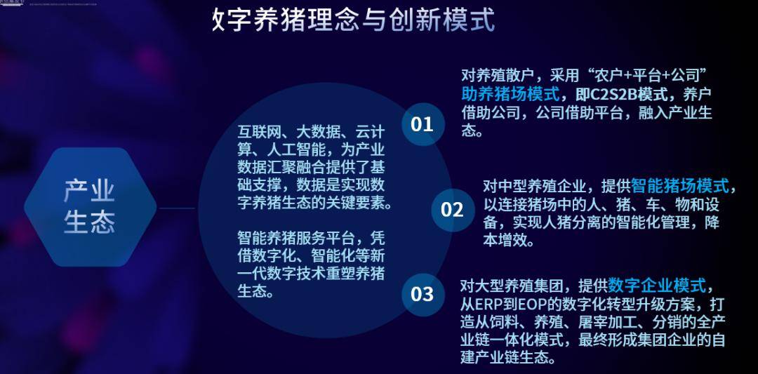 香港二四六开奖免费资料大全，探索数字世界的奥秘与机遇（一），香港二四六开奖数字世界探索之旅，免费资料大全（一）