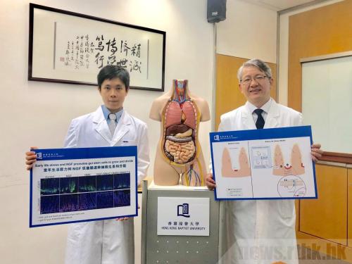 香港资料大全正版资料图片——探索香港的综合性资源平台，香港综合性资源平台，正版资料图片大全