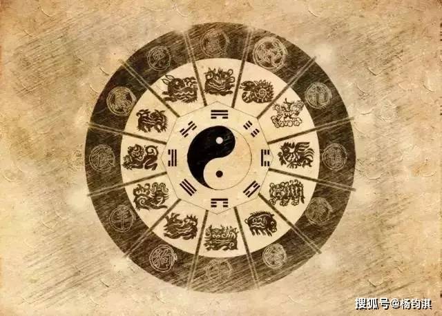 二四六玄机图资料大全特色解析，二四六玄机图资料大全深度解析与特色探究