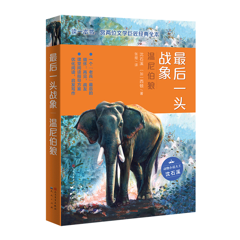 揭秘42982金牛网论坛中的四不象，深度解读与探讨，深度解读金牛网论坛四不象揭秘，探索与探讨