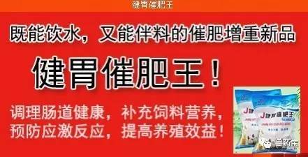 揭秘2023管家婆精准资料大全免费，全方位解读与实用指南，揭秘2023管家婆精准资料大全，全方位解读与实用指南