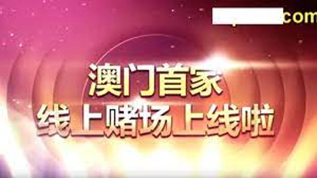 澳门天天资料大全，探索多元文化与生活百态，澳门多元文化与生活百态全景探索