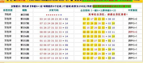 香港彩票开奖结果记录——探索2021年的数据与趋势，香港彩票开奖结果记录——揭秘2021年数据与趋势分析