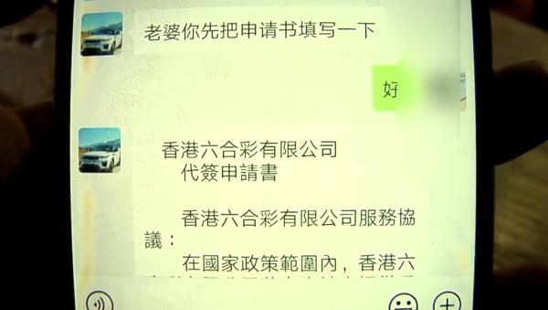 新澳门六开彩资料查询最新动态与解析，澳门六开彩最新动态解析与资料查询