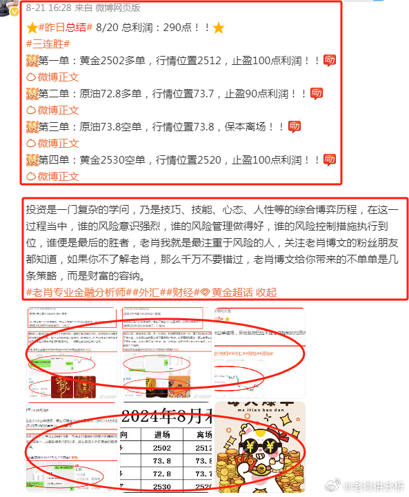 探索管家婆2024新澳正版资料，揭秘其背后的故事与影响，揭秘管家婆2024新澳正版资料，背后的故事与深远影响