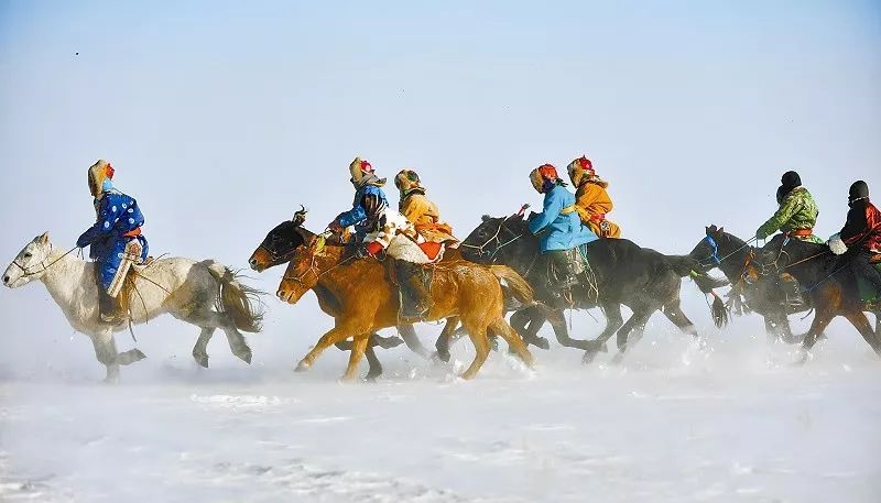 今天买什么特马——探索赛马世界的投资之道，赛马世界的投资探索，今天如何选择最佳赛马投资标的？