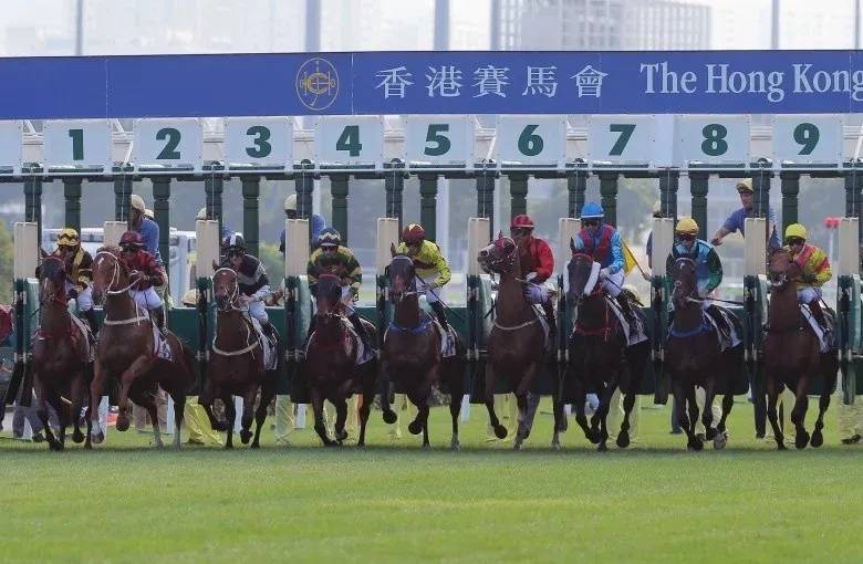 香港马会正版料大全2021，探索赛马运动的魅力与精彩，香港马会正版料大全2021，揭秘赛马运动的魅力与精彩瞬间