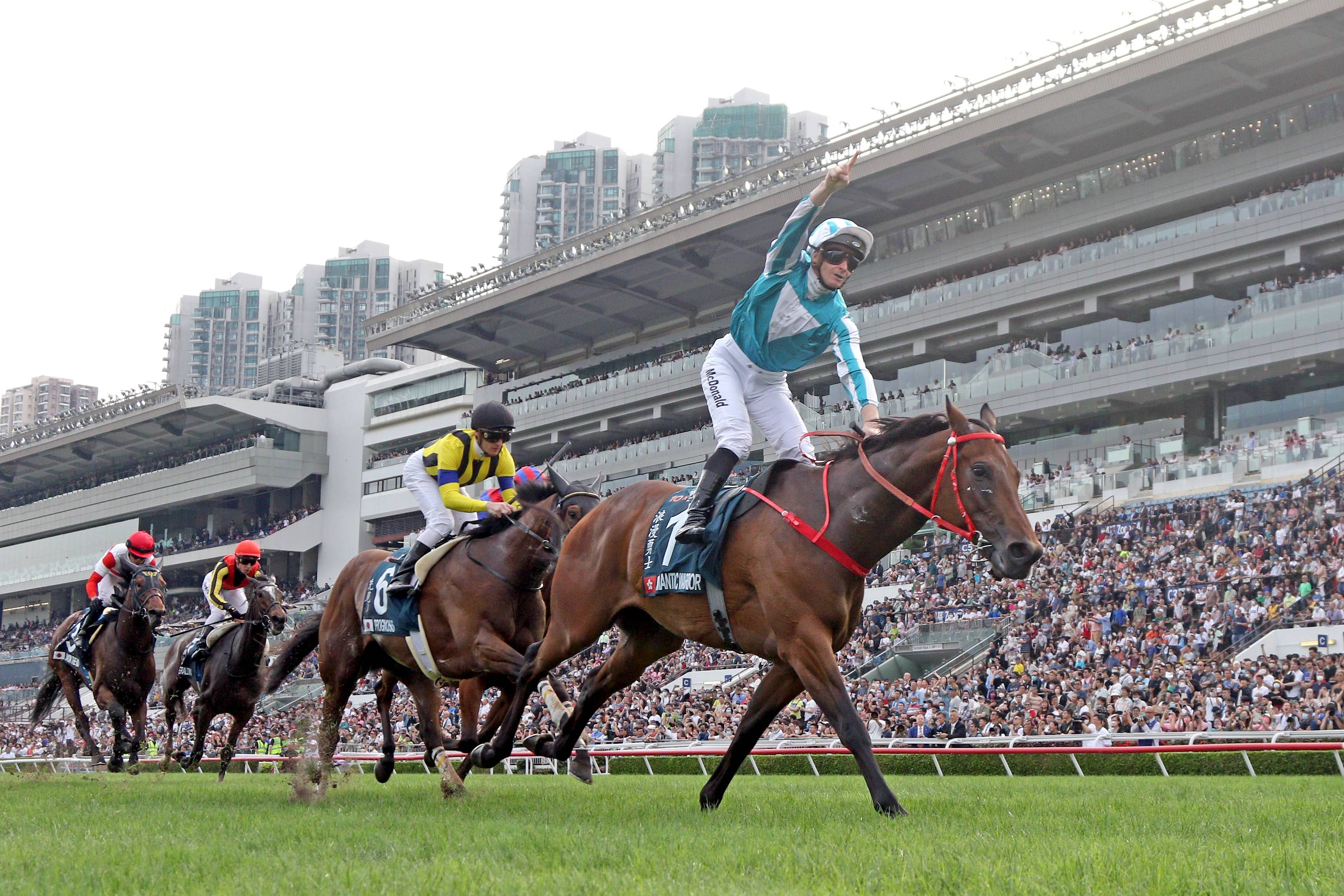 香港正版马会资料，探索赛马运动的魅力与精彩，香港正版马会资料揭秘，赛马运动的魅力与精彩瞬间