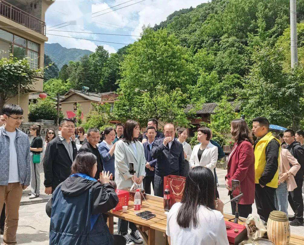 香港开马开奖现场直播下载，体验真实的彩票魅力，香港彩票直播下载，真实体验彩票魅力的开奖现场