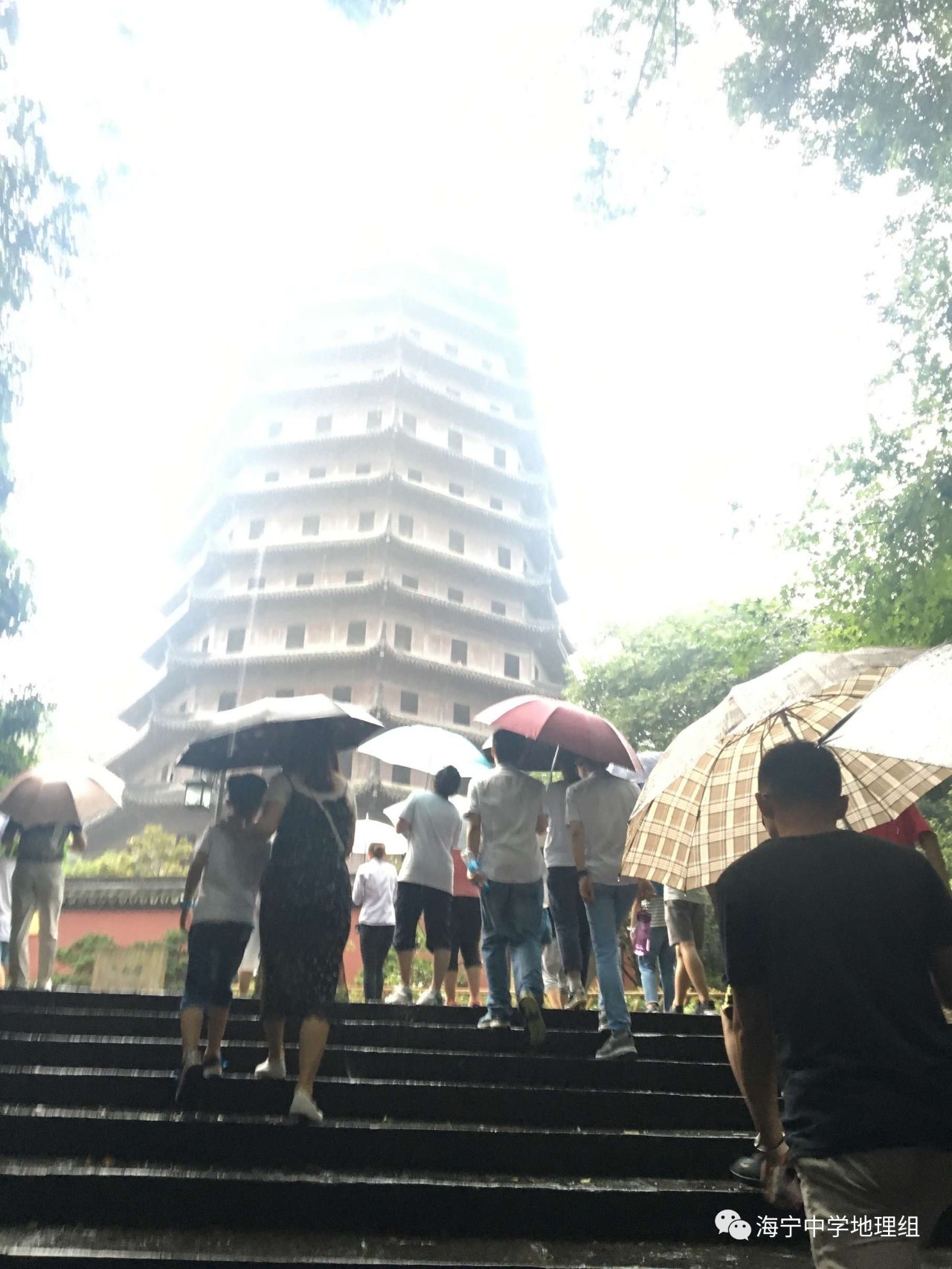 六和采，探索与发现的旅程，六和采，探索与发现的精彩旅程