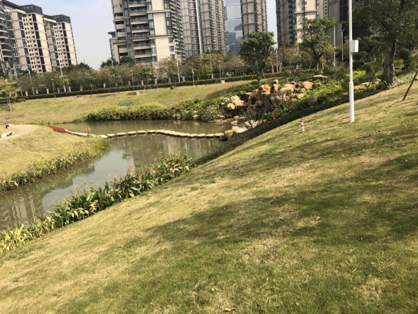 澳门六开15期历史记录最新查询，揭秘彩票背后的故事，澳门六开彩票历史记录揭秘，探寻背后的故事与最新查询结果