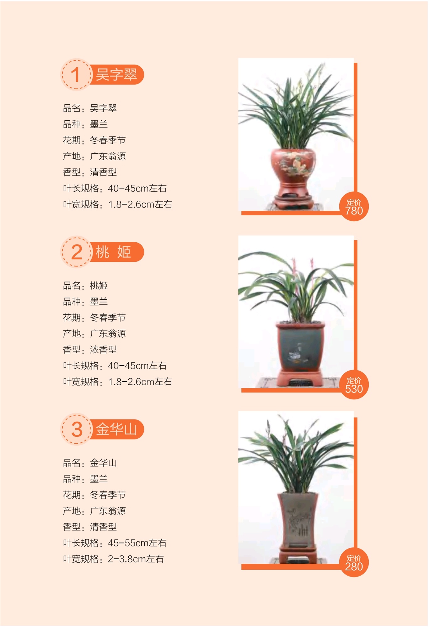 澳门六宝合典大全，图片、价格表及官网查询指南，澳门六宝合典大全，图片、价格及官网查询指南