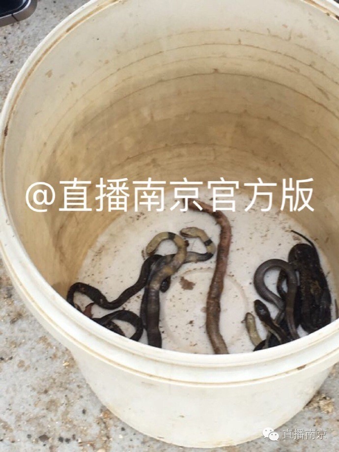 澳门六宝合典大全图片及价格一览表最新版下载攻略，澳门六宝合典大全，最新图片、价格及下载攻略