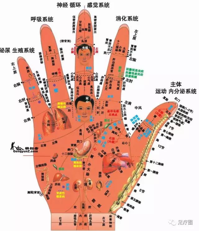 最新版本详解