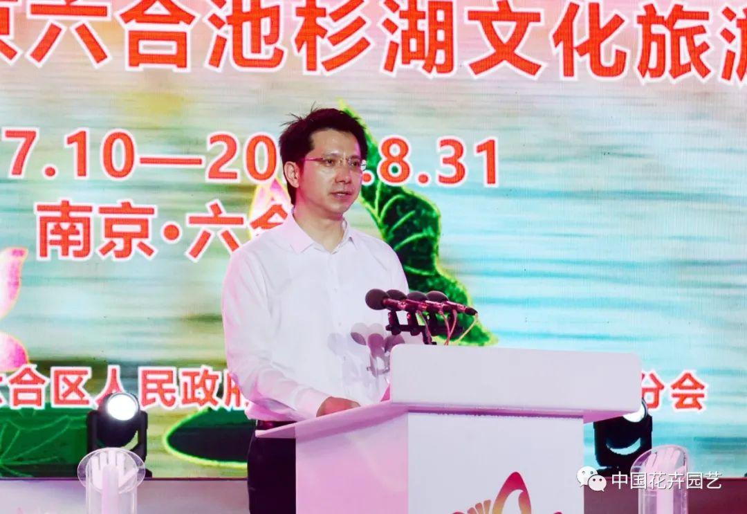 澳门六盒宝典2021年最新版开奖号码全解析，澳门六盒宝典最新版开奖号码全解析及预测报告