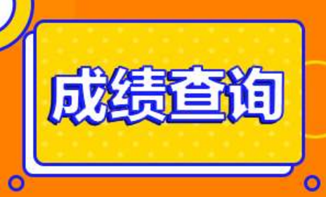 澳门六叔公精准资料免费查询，澳门官方信息的最新解读，澳门六叔公精准资料与官方信息最新解读免费查询