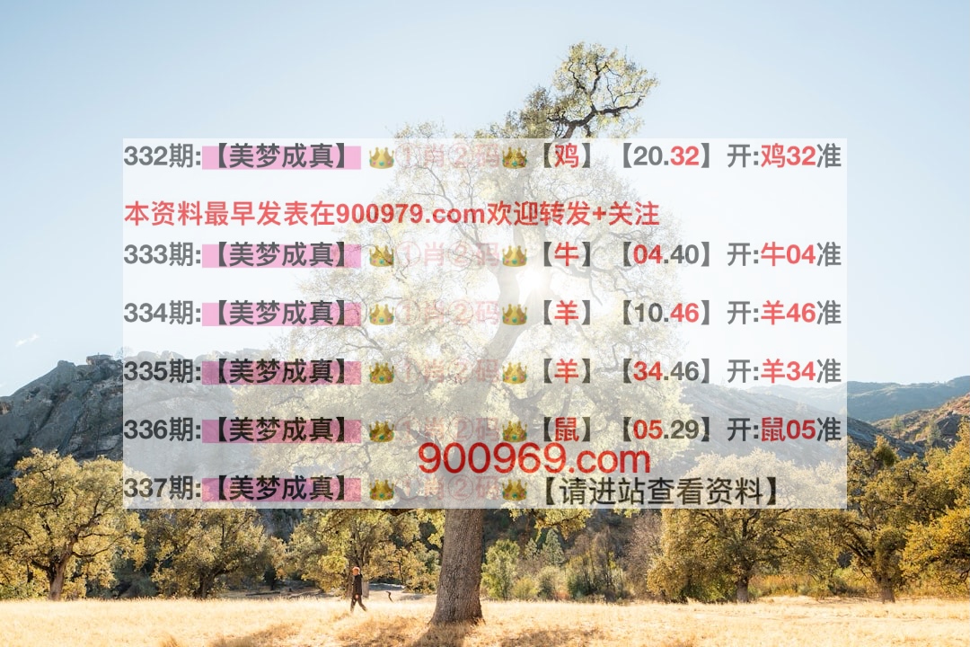 澳门六叔公精准资料免费查询，澳门官方网页的最新动态，澳门六叔公精准资料免费查询，最新官方动态揭秘