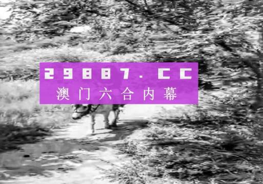 澳门六肖王小胖图片对比图高清大全—揭秘背后的故事与魅力，澳门六肖王小胖图片对比图高清揭秘，背后的故事与独特魅力