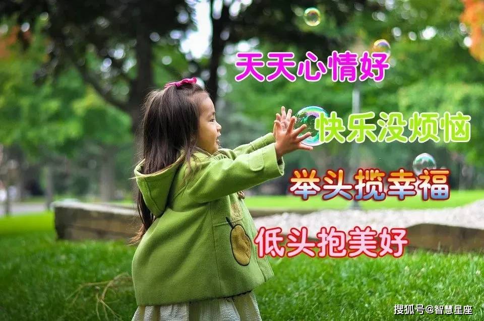 澳门六肖精选论坛官方网址查询最新动态解析，澳门六肖精选论坛最新动态解析与官方网址查询